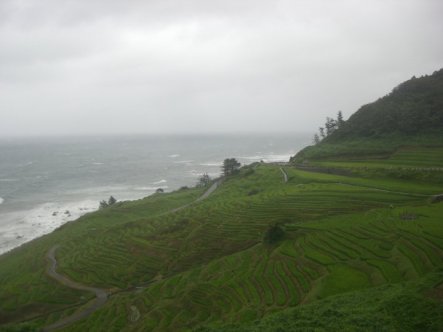The rice terraces of the Noto Peninsula